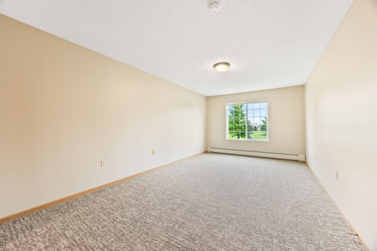 Empty independent living room with carpet flooring, a window, and a ceiling light fixture.